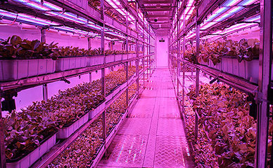 生態+智慧 園區現代農業“創”出一片天——生物農藥技術研發